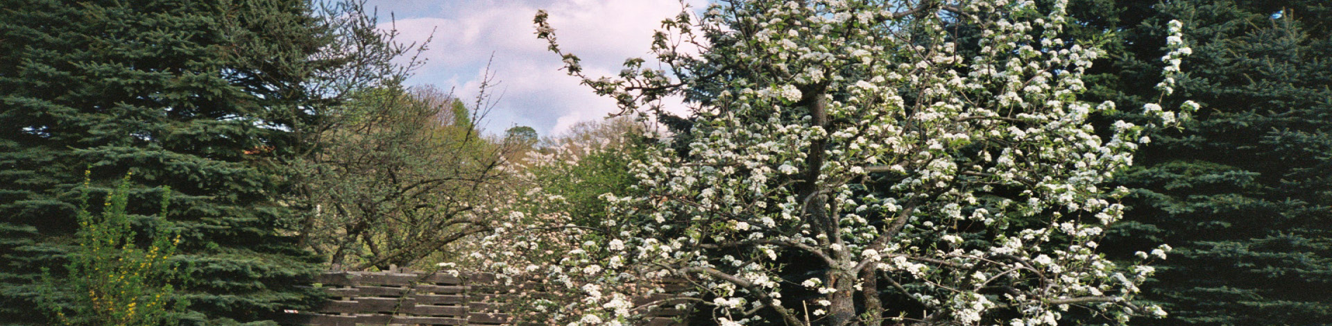 klostergarten_panorama